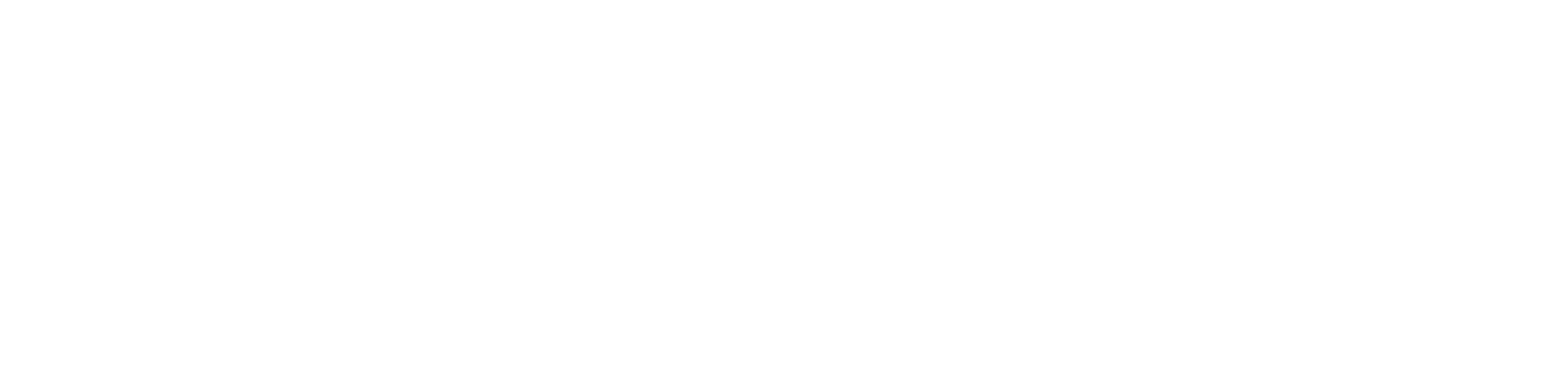 RevTrack
